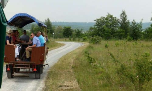 Mit der Kutsche an den Lappwaldsee. Foto: Stadt Helmstedt
