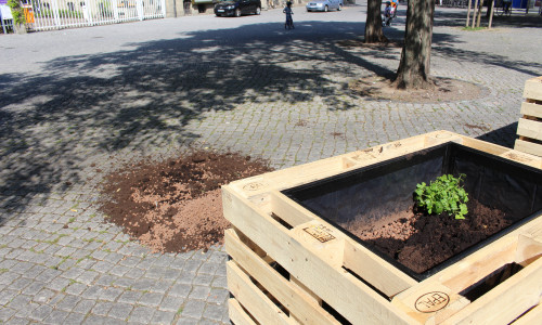 Eines der Beete des „Urban Gardening“-Projekts wurde gänzlich entleert. Fotos: Jan Borner