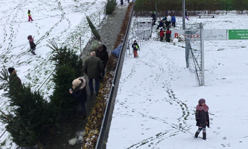 Während die Eltern die Bäume kauften, konnten sich die Kids im Schnee austoben. Fotos: FC Othfresen, Mirko Steinert