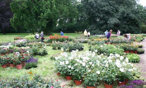 Vom 10. bis 12. Juni findet wieder der Gartenzauber im Park in Halchter statt. Foto: Anke Donner 