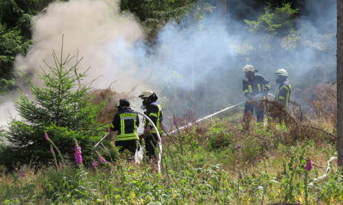 Das Feuer hatte sich bereits in den Waldboden eingefressen. Fotos: Feuerwehr