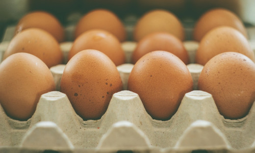 Von dem Verzehr dieser Eier wird dringend abgeraten! Symbolbild: Pixabay