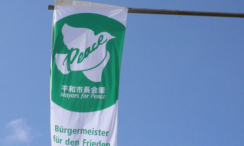 Auch in Wolfenbüttel wird die Flagge gehisst. Foto: Stadt Wolfenbüttel