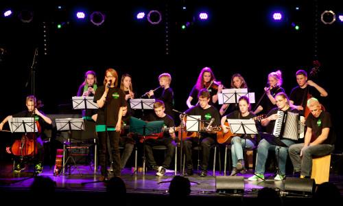 Das Folk-Ensemble Clover während eines Konzerts. Foto: Stadt Wolfsburg 