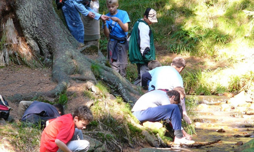 Gewässeruntersuchung mit Jugendlichen im Nationalpark Harz – eine Umweltbildungsaktivität mit Commerzbank-Umweltpraktikanten, Foto Nationalpark Harz