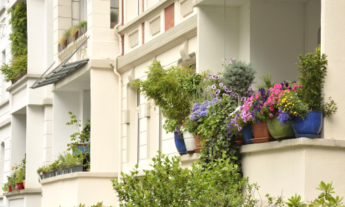 Es grünt so grün … Noch bis zum 19. Juli können Balkone zum BBG-Balkonwettbewerb angemeldet werden.(Foto: Braunschweig Stadtmarketing GmbH)