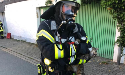 Die Feuerwehr konnte eine Katze aus dem Haus in Sicherheit bringen. Fotos: Erarslan