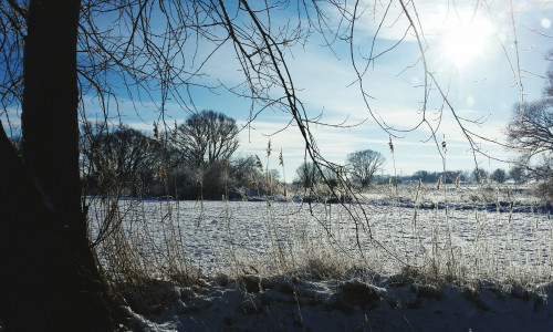 Der Winter in Veltenhof, eindrucksvoll aufgenommen von Olaf Paschke. Foto: Olaf Paschke
