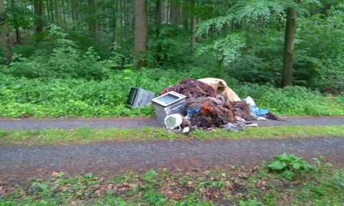 Unbekannte haben ihren Müll im Wald abgeladen. Foto: Polizeikommissariat Bad Harzburg