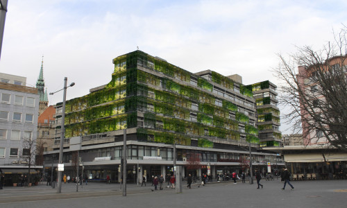 Rathaus-Neubau mit Begrünung. Visualisierung von Rainer Mühlnickel. Foto: Rainer Mühlnickel