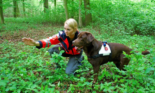 Maren Kudelka mit Labrador Balou von der Johanniter-Rettungshundestaffel aus Braunschweig beim Training im Wald. Foto: Lena Kopetz / Johanniter