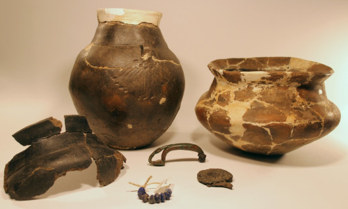 Verzierte Urne und zugehöriger Leichenbrand aus einem Gräberfeld bei Rolfsbüttel. Foto: Ingo Eichfeld