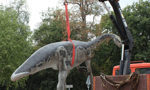Das Plateosaurus-Modell bei der Platzierung vor dem Staatlichen Naturhistorischen Museum, Foto: Staatliches Naturhistorisches Museum