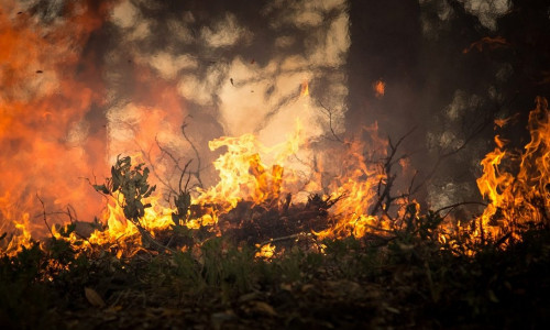 Ein Großbrand in den Harzwäldern könnte dramatisch enden. Löscheinsätze gestalten sich aufgrund des unwegsamen Geländes schwierig.