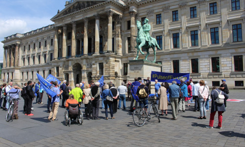 Gut 50 Europafreunde hatten sich am Pfingstsonntag auf dem Schlossplatz eingefunden. Fotos/Video/Ton: Alexander Dontscheff