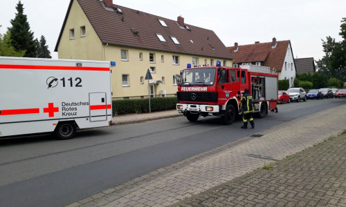 Rettungsdienst und Tanklöschfahrzeug wurden glücklicherweise nicht benötigt. Fotos: Feuerwehr Wolfenbüttel