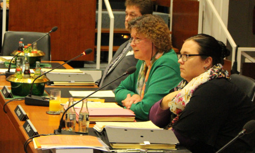 Kirsten Seffer (vorne im Bild) will nicht mehr Teil der Grünen Stadtratsfraktion sein. Foto: Frederick Becker