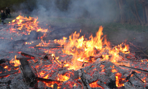Laut NABU werden die Risiken für die Natur größer, je später ein Brauchtumsfeuer abgebrannt wird. Archivbild