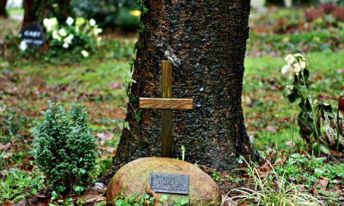Die Einrichtung eines Begräbniswaldes wird geprüft. Symbolfoto: pixabay