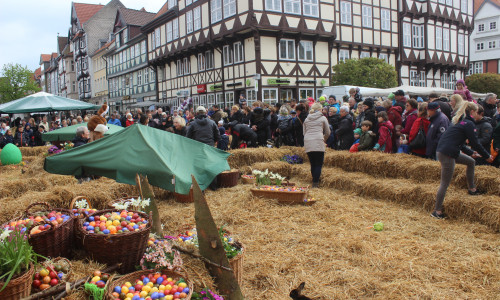 Viele Besucher gab es beim diesjährigen Osternest in der Innenstadt von Wolfenbüttel. Fotos: Anke Donner 