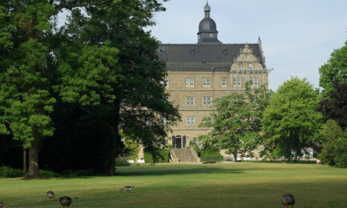 Der Schlosspark erfreut Spaziergänger, Sonnenanbeter und ebenso tierische "Picknickfreunde", Foto: Stadtmuseum Wolfsburg