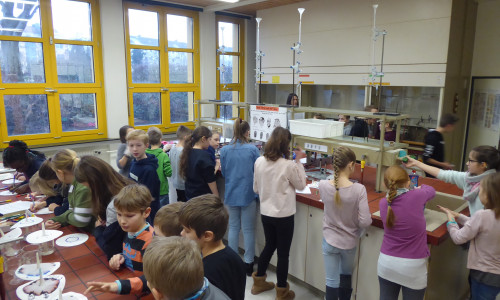 Spielerisch konnten die Kinder erste Einblicke in die Naturwissenschaften erhalten. Foto: THG Wolfenbüttel