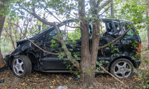 Nachdem das Fahrzeug aus der Kurve gerutscht war, wurde es in der Böschung von einem Baum aufgehalten. 