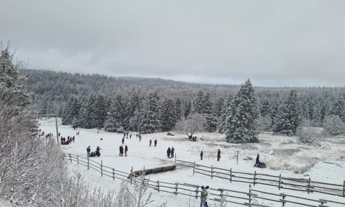 Weiße Landschaften lockten viele Besucher in den Harz.