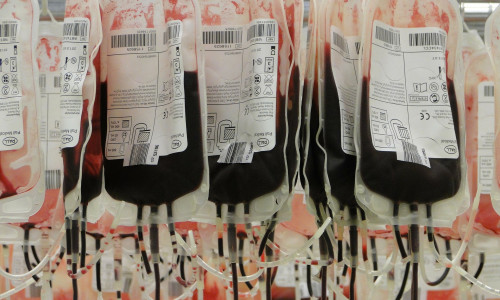 Die Beutel für lebensrettende Blutkonserven können selbst eine Gesundheitsgefahr sein. (Symbolbild) 