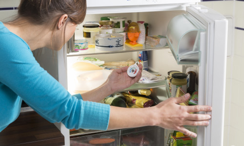 Jedes Grad zählt. Mit der richtigen Temperatureinstellung im Kühlschrank lässt sich bares Geld sparen. 