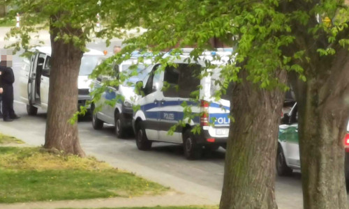 Dieses Bild entstand während der gestrigen Kontrolle. Das große Fahrzeugaufgebot sei organisatorischen Gründen geschuldet gewesen, betont die Polizei. Die Fahrzeuge waren nicht voll besetzt. 