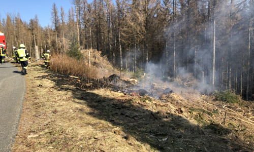 Die Feuerwehr musste die Wald- und Wiesenfläche ablöschen.