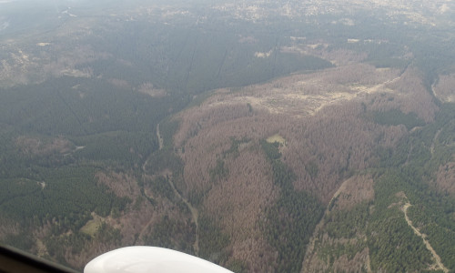 Unterstützung aus der Luft: Die Harzer Wälder werden ab sofort auch aus dem Flugzeug überwacht. Dadurch sollen mögliche Brandherde schnellstmöglich identifiziert werden.