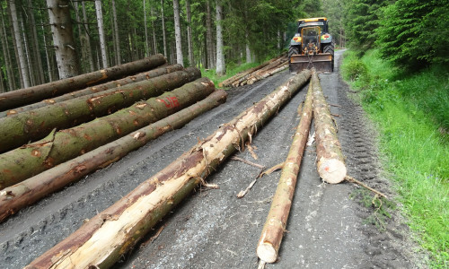 Der Holztransport wird in den nächsten Wochen noch zunehmen.