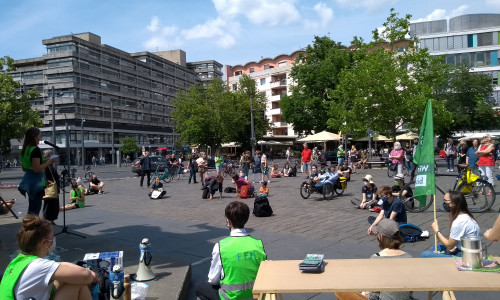 Fridays for Future-Demo auf dem Schlossplatz.