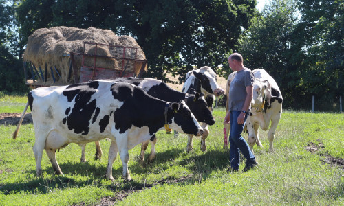 Milchbauer Erich Gehrke auf der Weide. Seine Tiere können tagsüber selbst entscheiden, ob sie auf die Weide oder in den Stall wollen.