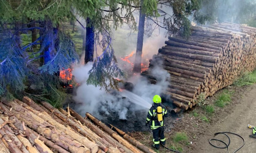 Einsatzkräfte bekämpfen das Feuer im Unterholz. 