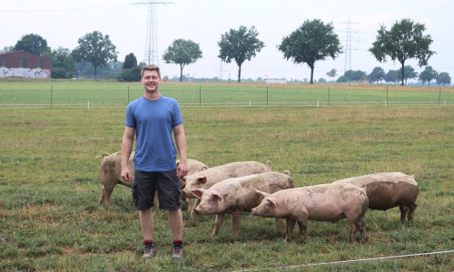 Henrik Hagemann auf der Schweineweide. Seit 2015 hält die Familie Hagemann wieder Vieh. Bis zu den Freilandschweinen war es jedoch ein langer Weg.