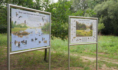Die neuen Hinweisschilder am “Teichpfad” geben Aufschluss über die im und am Teich lebenden Tiere.   