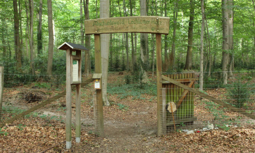 Auf dem Tierfriedhof "Abschiedswald Lechlumer Holz" finden Haustiere ihre letzte Ruhe. 