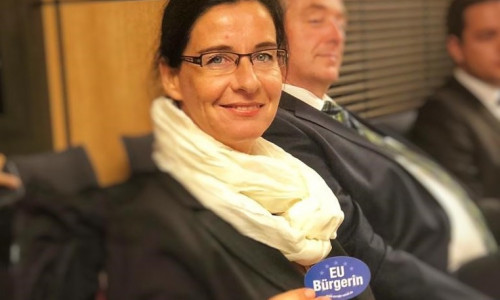 Veronika Koch im Europaausschuss des Niedersächsischen Landtages 2019.