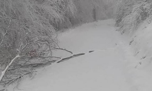 Schnee lässt die Äste der Bäume brechen - es besteht Gefahr