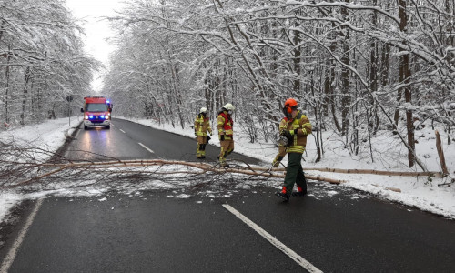 Die Feuerwehr Bad Harzburg beseitigt einen umgestürzten Baum. 