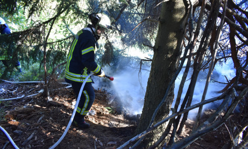Die Feuerwehr beim Löschen der Flammen im Wald bei Oker.