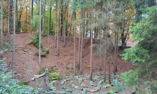 Durch den Borkenkäfer ist es zu schweren Forstschäden im Karl-May-Tal gekommen.