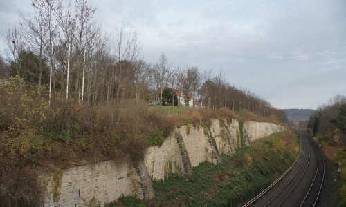 Alle Bäume in der ersten Reihe über der Feldmauer müssen weg - bis hinter die Fußgängerbrücke am rechten Bildrand. 