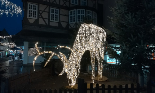 Ein beleuchtetes Rentier in Wolfenbüttel. (Symbolbild)