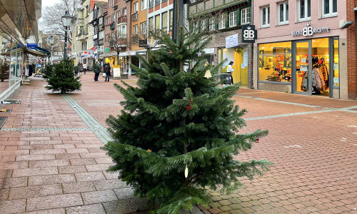 Die Nordmanntannen in der Weihnachtsstadt Peine sind am 23. Dezember ab 14 Uhr gegen eine Spende erhältlich.