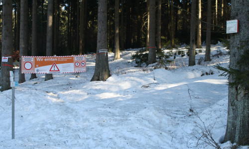Der Waldweg wird gesperrt.