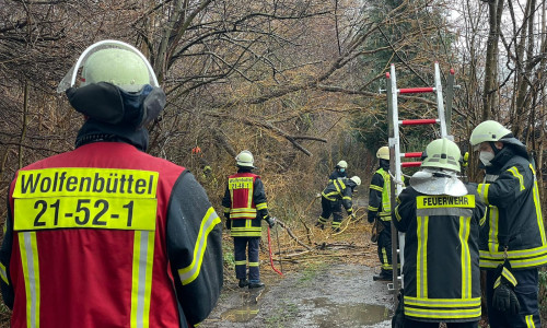 Bei Wind und Wetter kümmerten sich die Feuerwehrleute um Gefahren, die wegen der Witterung von Bäumen ausgingen.